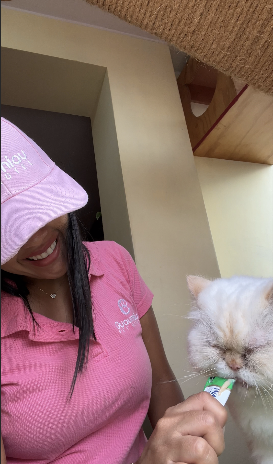 catsitterImg