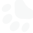 servicesCardVec